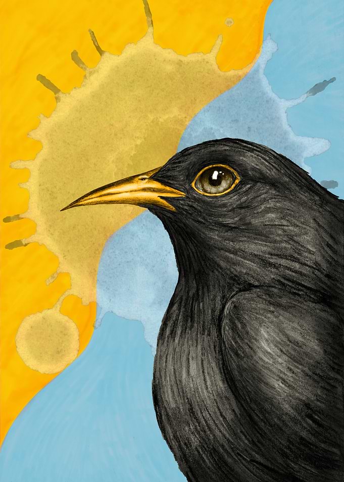Blackbird Portrait with Watercolor Background
