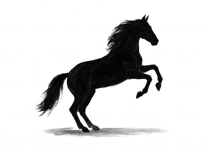 Majestic Rearing Black Horse Silhouette