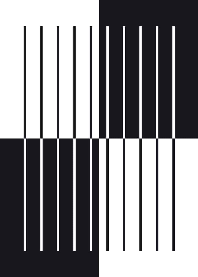 Minimalist Black and White Geometric Pattern