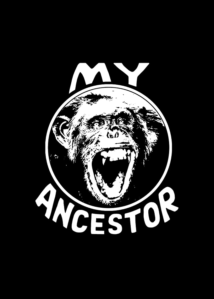My Ancestor Chimpanzee Graphic