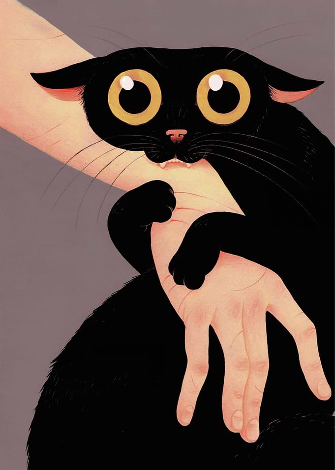 Playful Black Cat Biting Hand