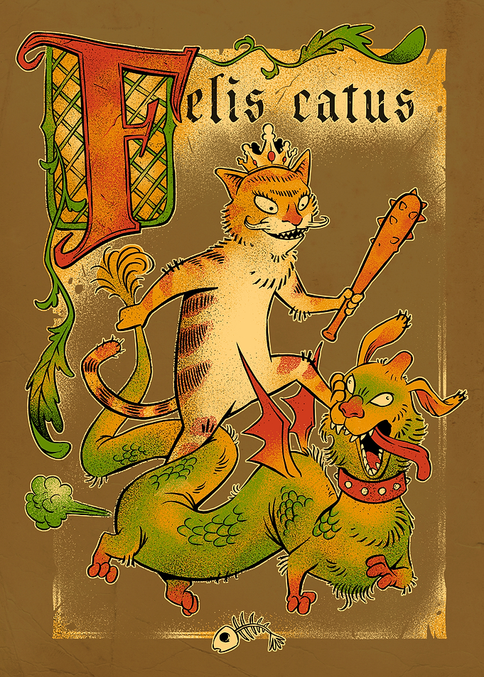 Felis Catus Medieval Cat Illustration