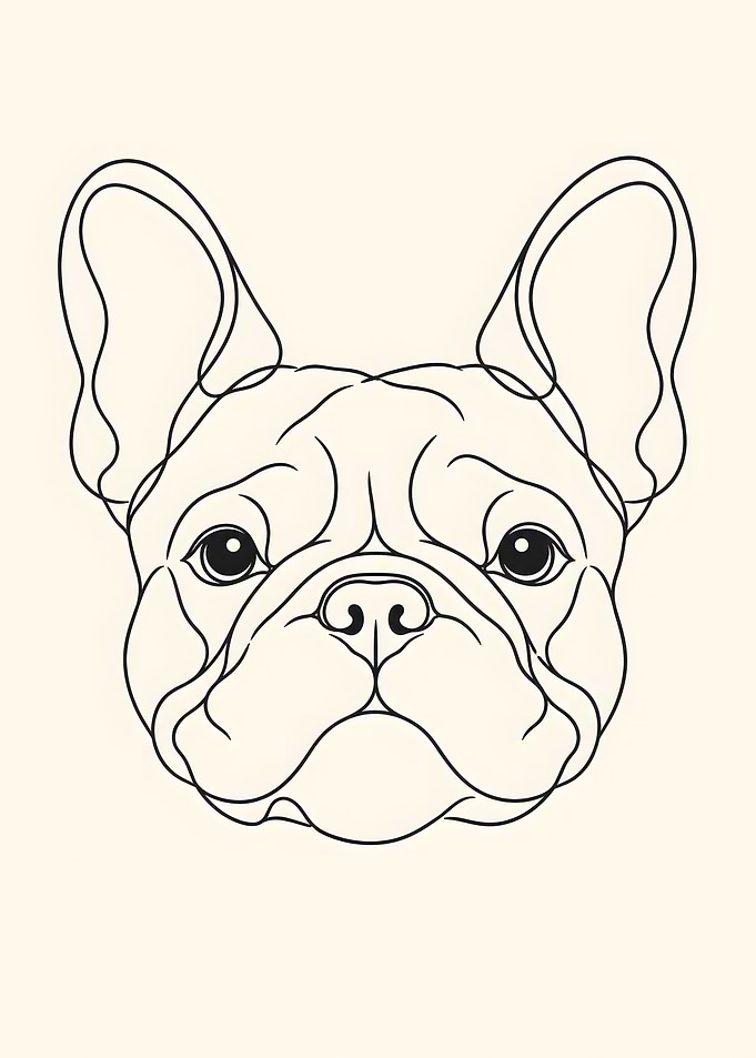 Cute French Bulldog Line Art