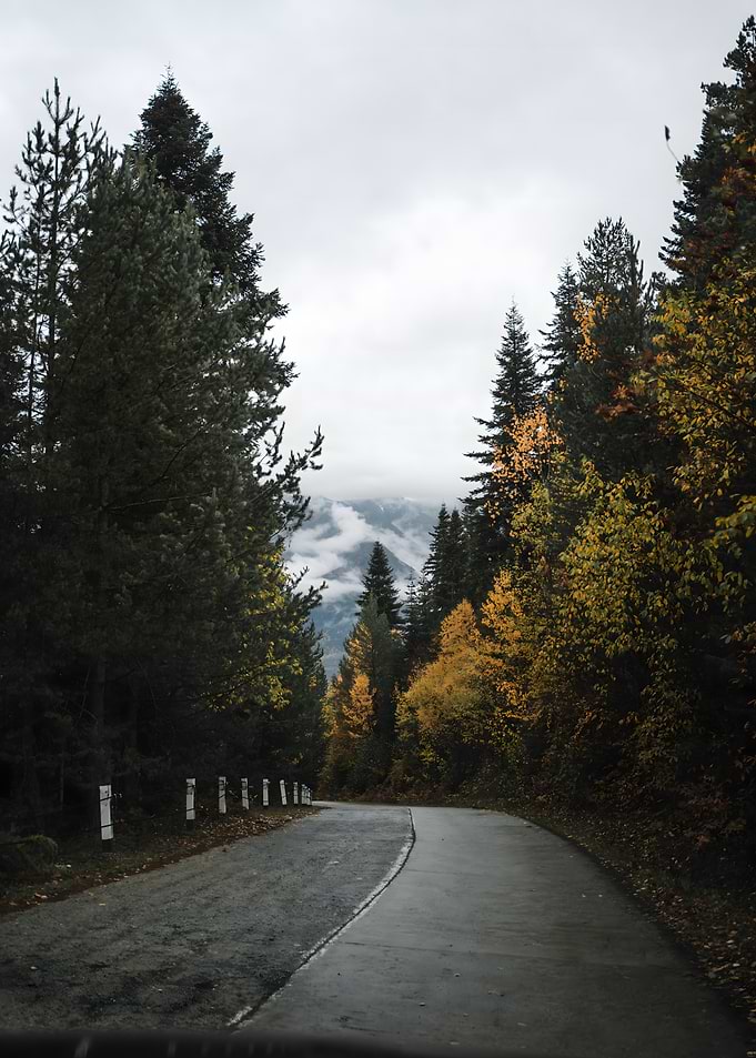 Winding Road Through Autumn Forest
