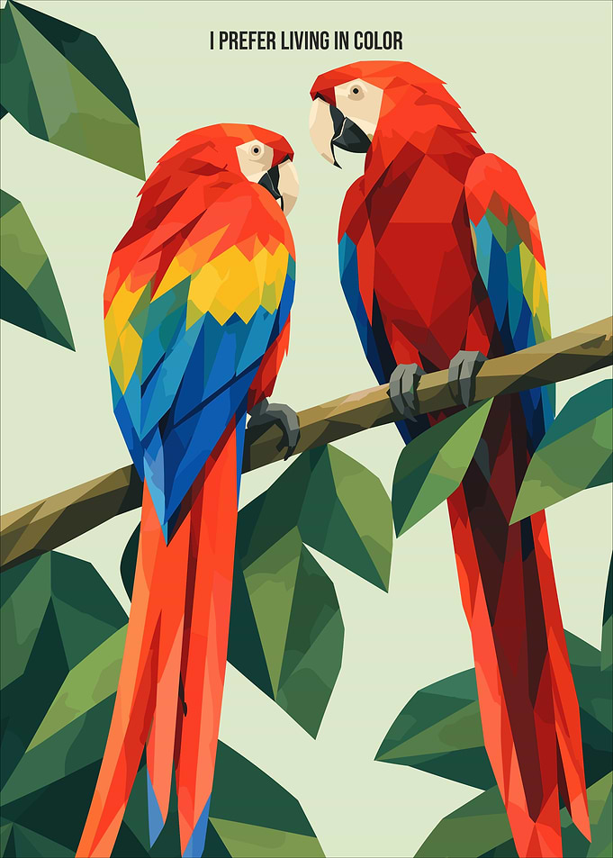 Geometric Macaw Parrot Art Print