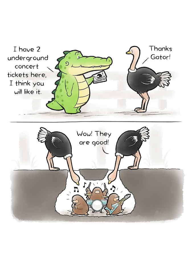 Buddy Gator - Underground Concert