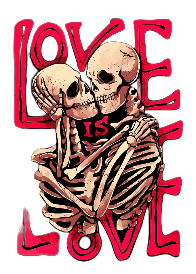Love Is Love Skeleton Couple Illustration