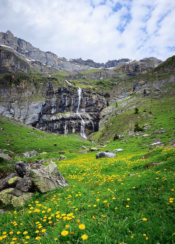 Waterfall in a Lush Mountain Meadow