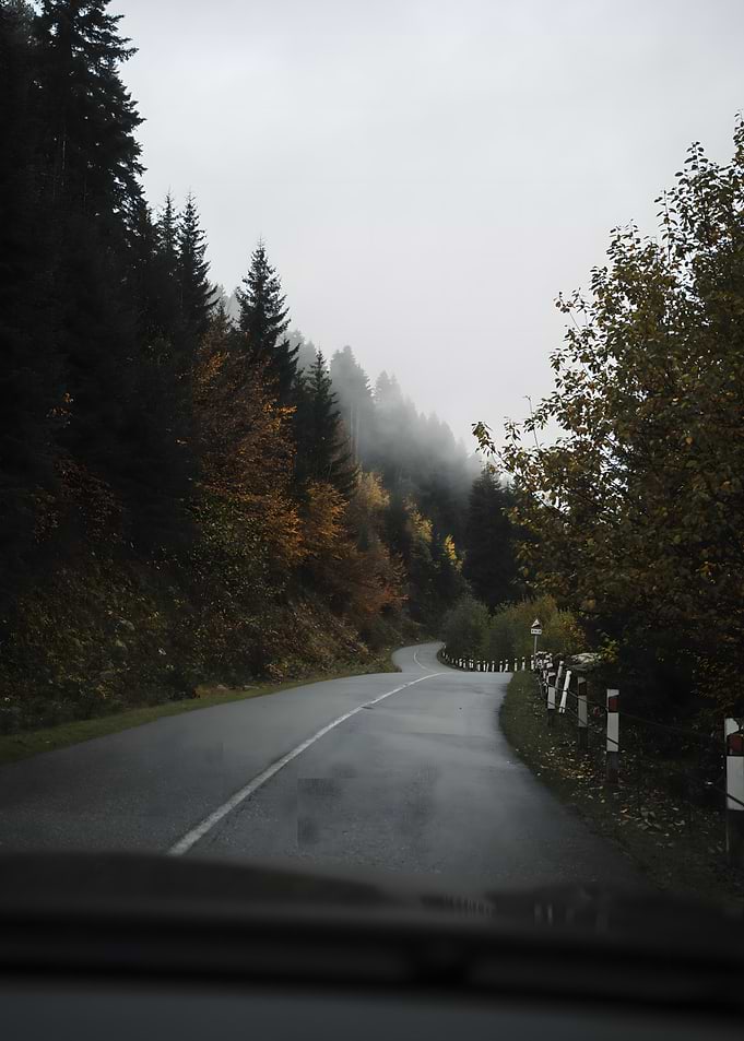 Winding Road Through Misty Autumn Forest