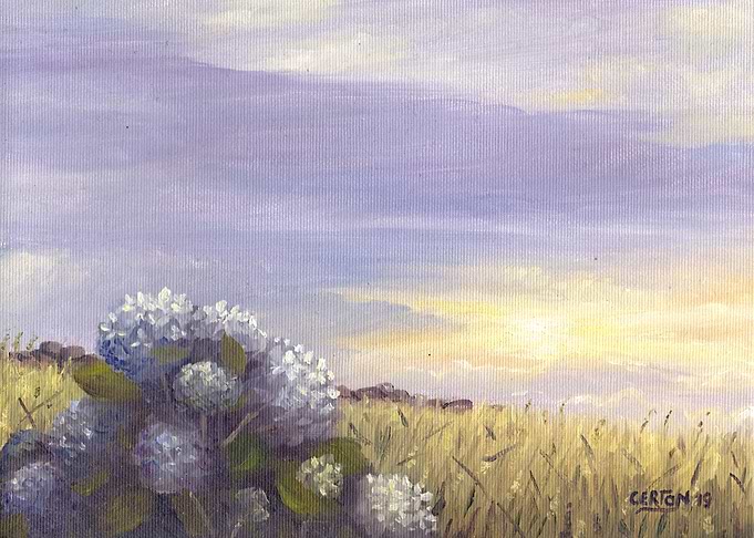 Hydrangeas with sunset