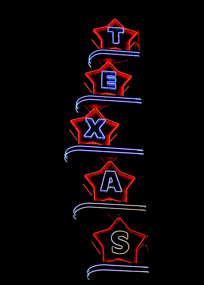Texas Neon Sign Vertical Display