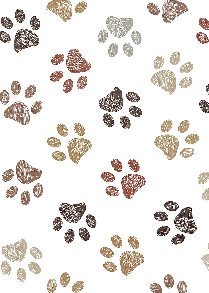 Hand-Drawn Animal Paw Print Pattern