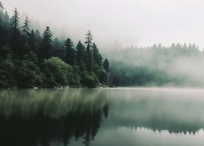 Misty Forest Lake Landscape