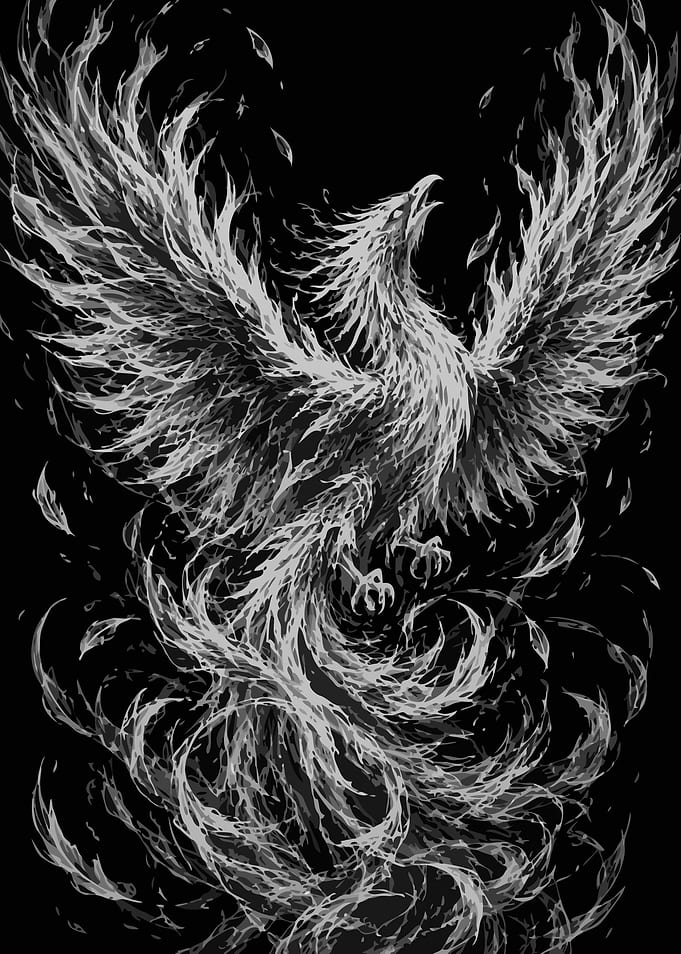 Monochrome Phoenix Rising in Flames