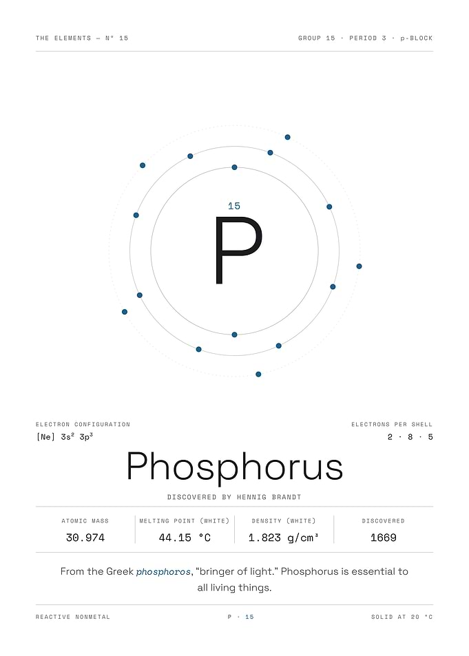 Phosphorus — The Elements Nº 15 (White Edition)