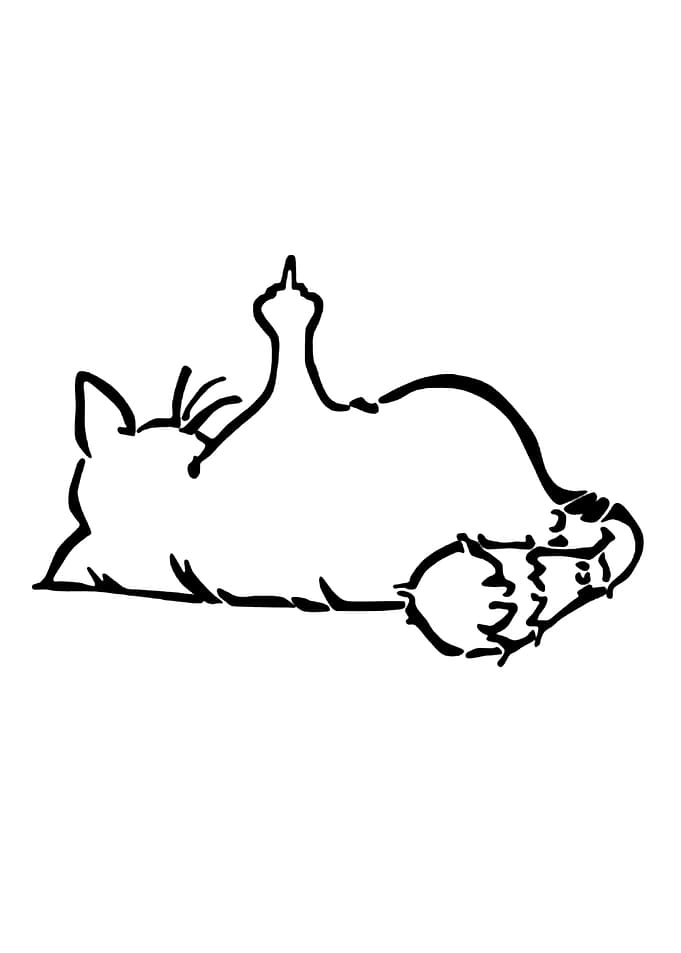 Minimalist Cat Giving Middle Finger
