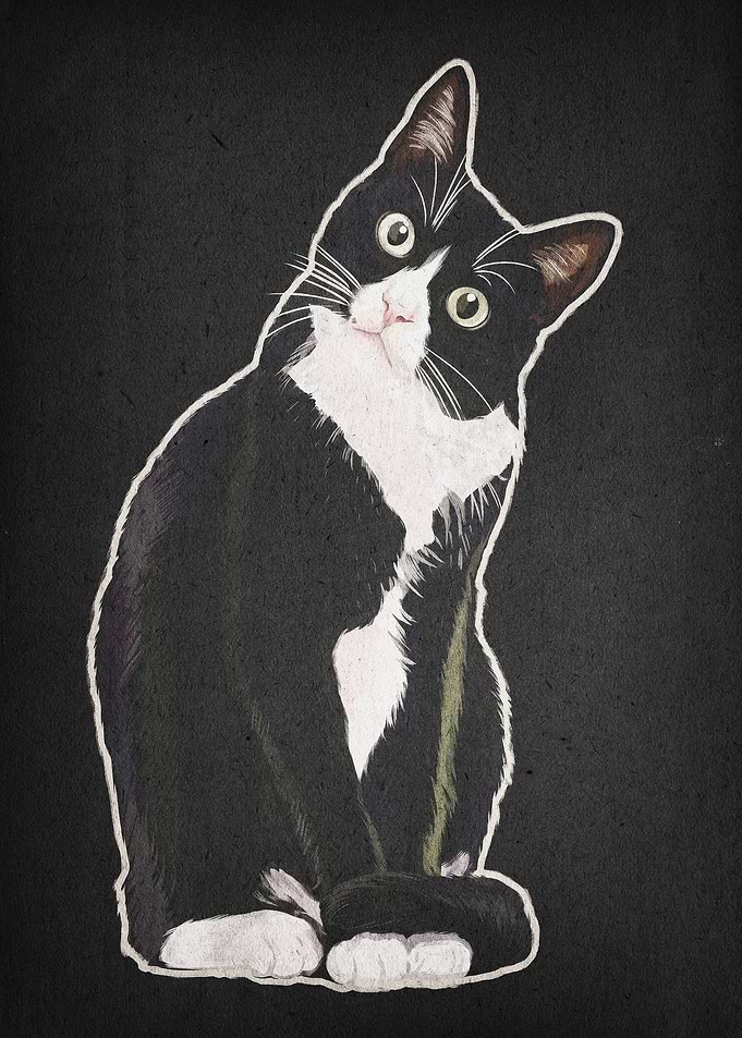 Tuxedo Cat Cute Illustration Art