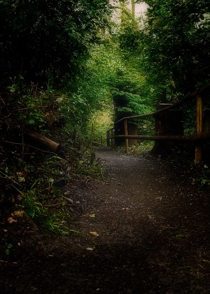 Enchanted Forest Path with Wooden Railing