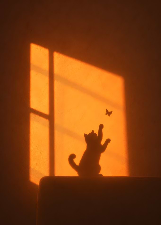 Cat Shadow Catching Butterfly