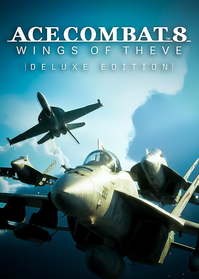 Ace Combat 8 Deluxe Edition Poster