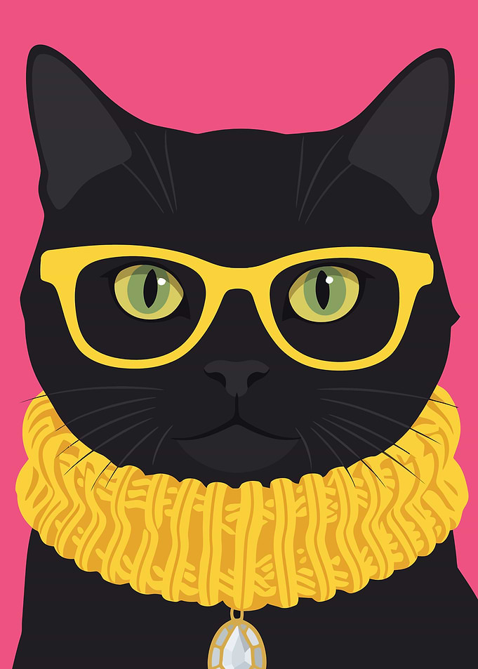 Stylish Black Cat with Yellow Glasses
