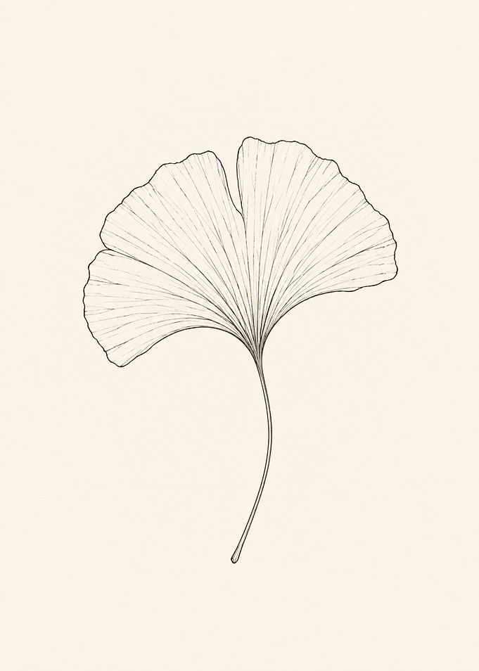Minimalist Ginkgo Biloba Leaf Line Art
