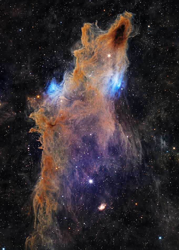 The Fox Fur Nebula in Space