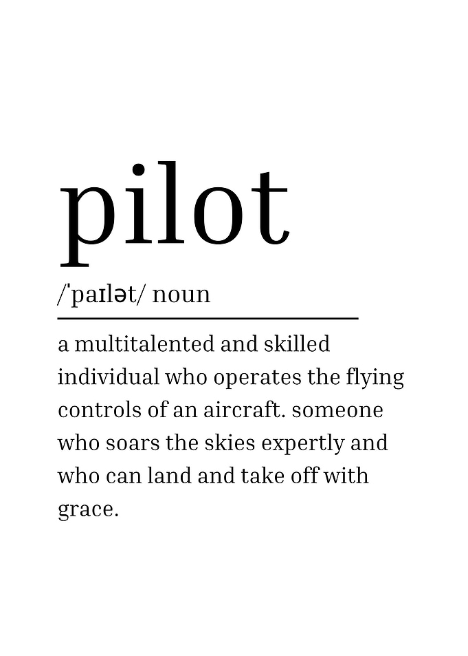 Pilot Definition