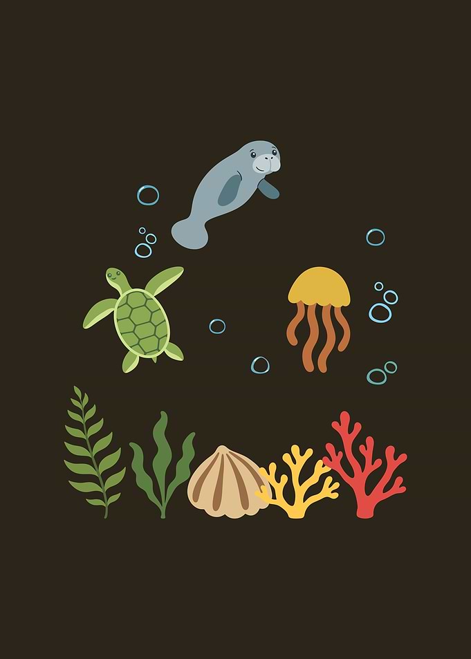 Manatee Underwater Kids Sea Turtle Jellyfish
