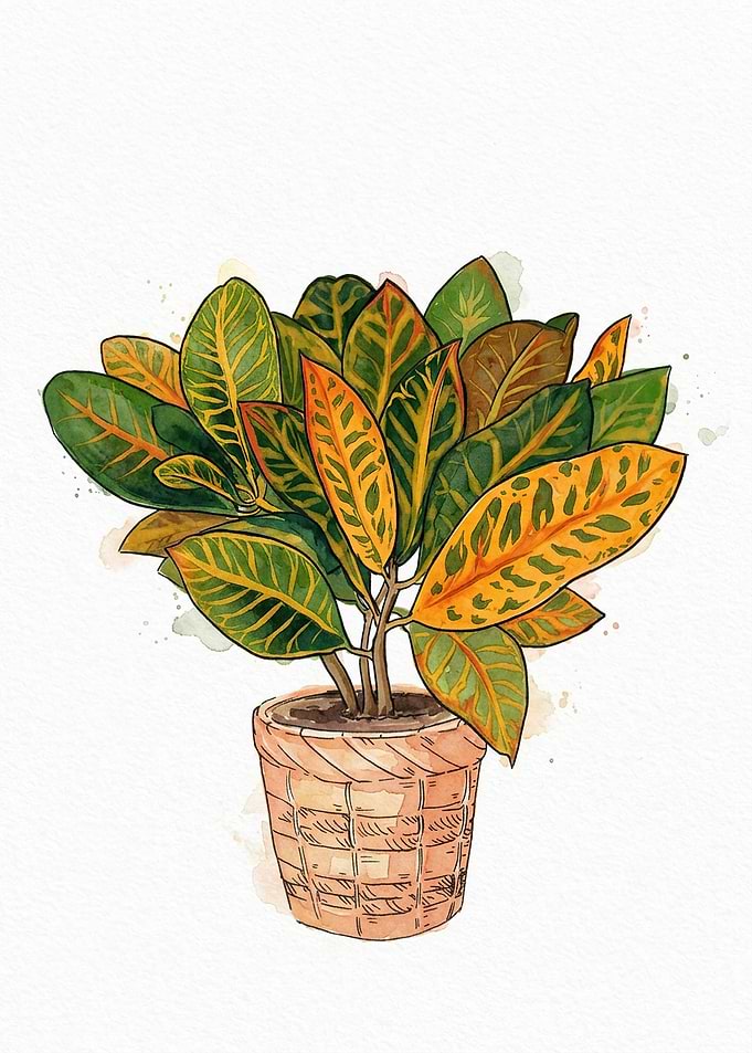 Watercolor Croton Plant in Basket