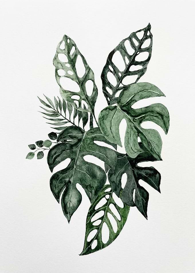 Watercolor Tropical Monstera Leaf Arrangement