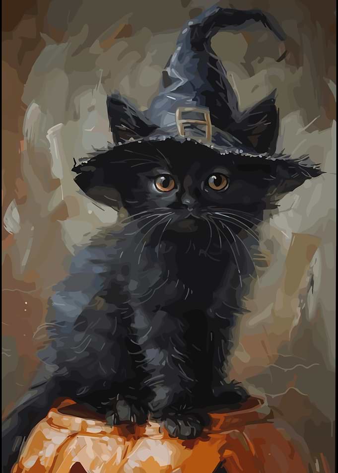 Black Kitten Wearing Witch Hat
