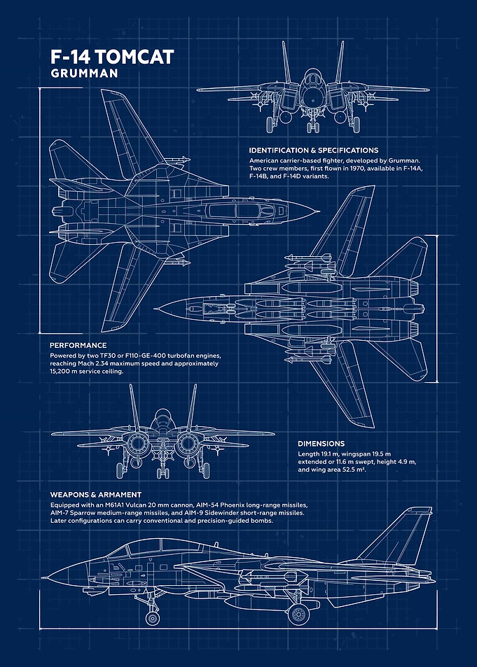 Grumman F-14 Tomcat Blueprint