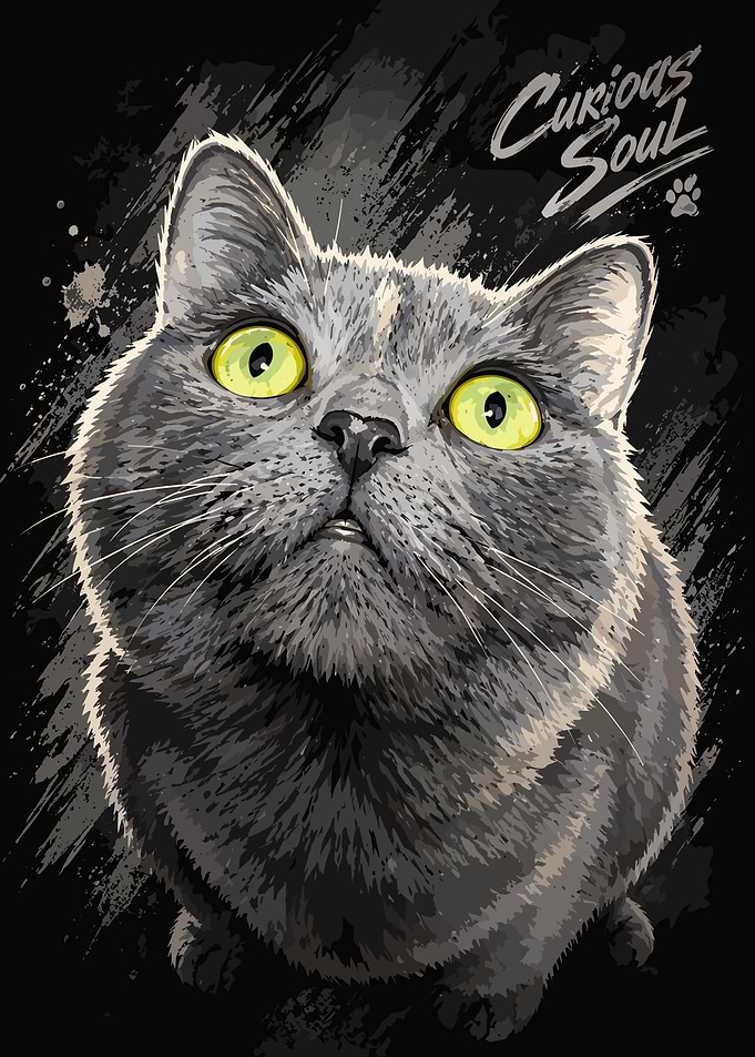 Curious Soul Gray Cat Portrait
