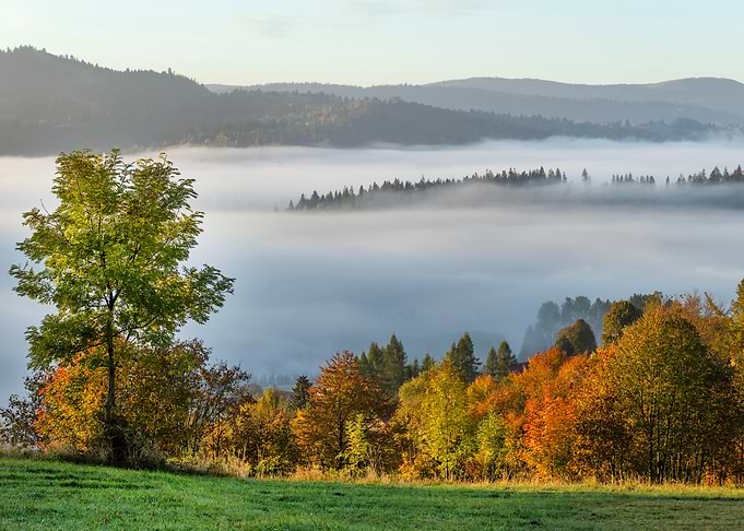 Autumn Morning Mist in Mountains