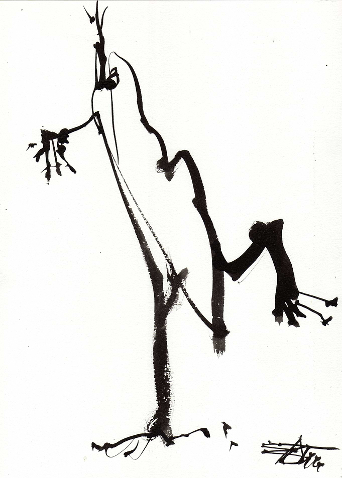 Minimalist Ink Wash Frog Illustration. A19