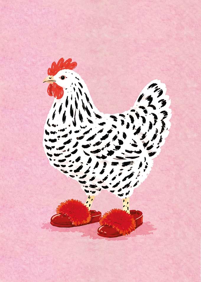 Chicken Wearing Red Fuzzy Slippers