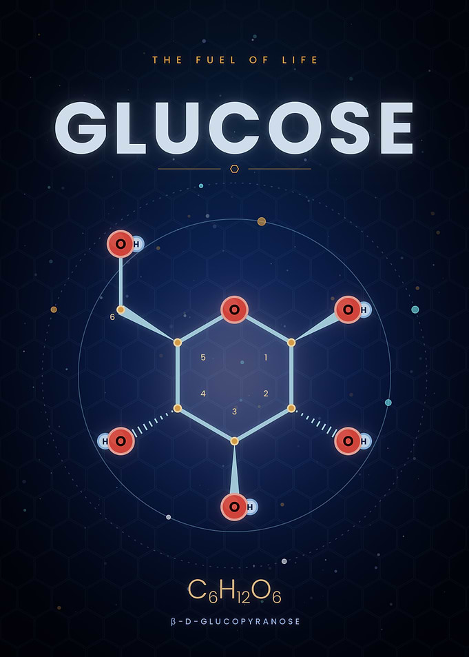 Glucose Molecule – C6H12O6 Chemistry & Science Art