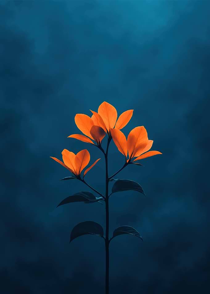 Vibrant Orange Flower on Blue Background
