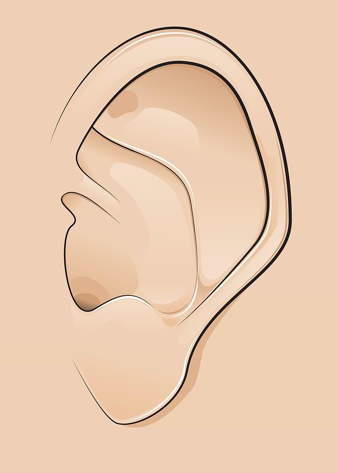 Minimalist Vector Illustration of Human Ear