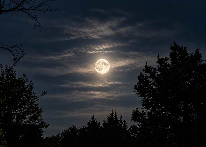 Full Moon Over Silhouetted Trees