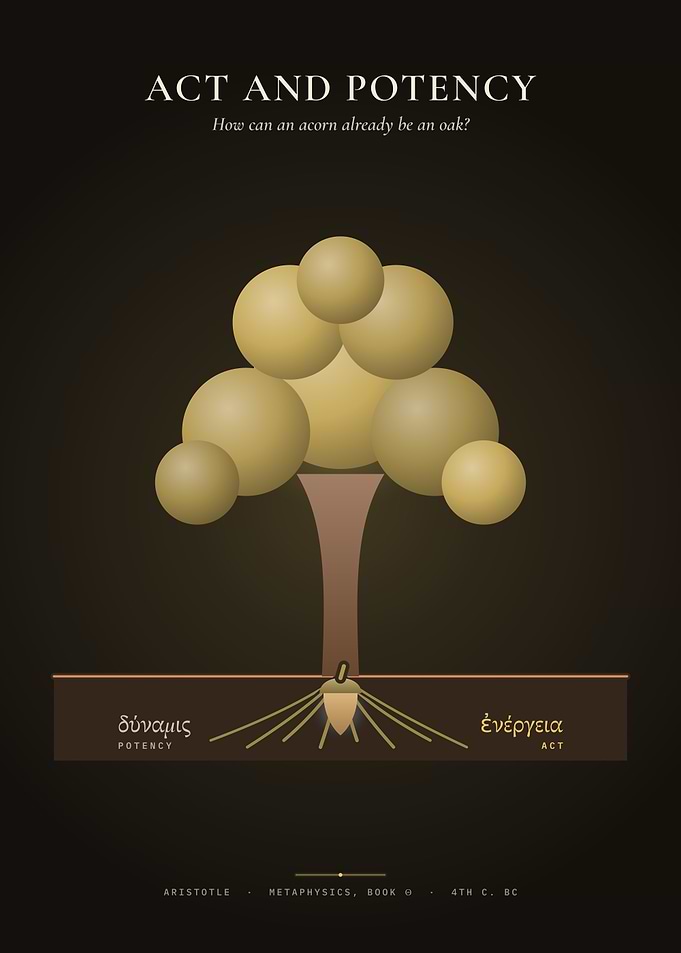 Act and Potency – Aristotle's Acorn and Oak