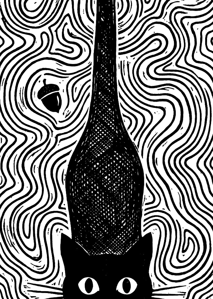 Black Cat and Acorn Illustration