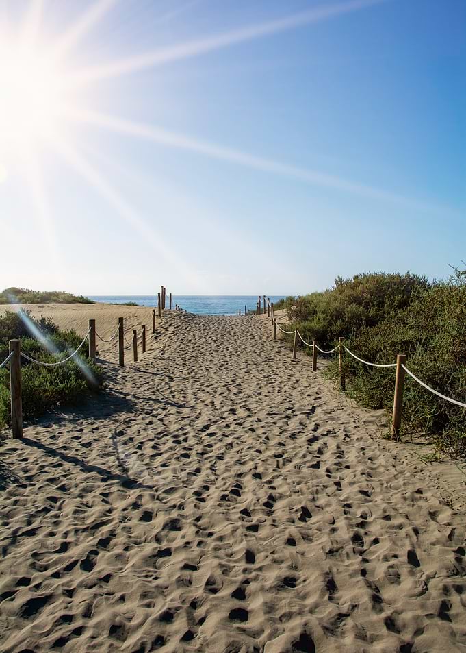 Sandy Path to the Ocean