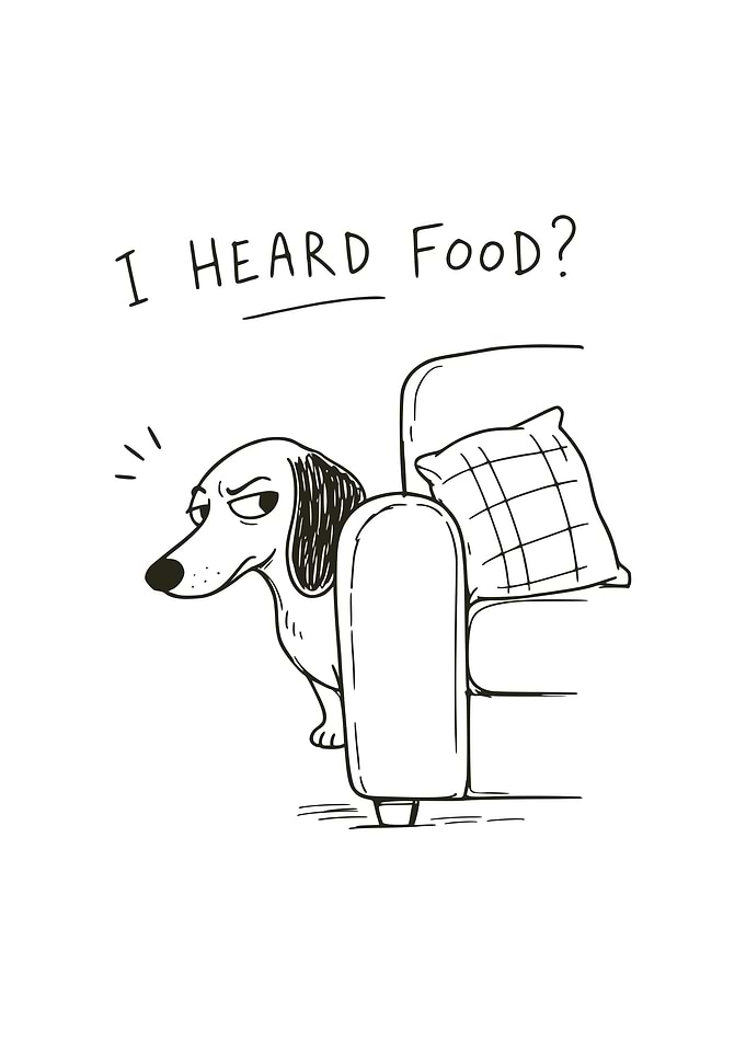 Funny hungry Dachshund line illustration