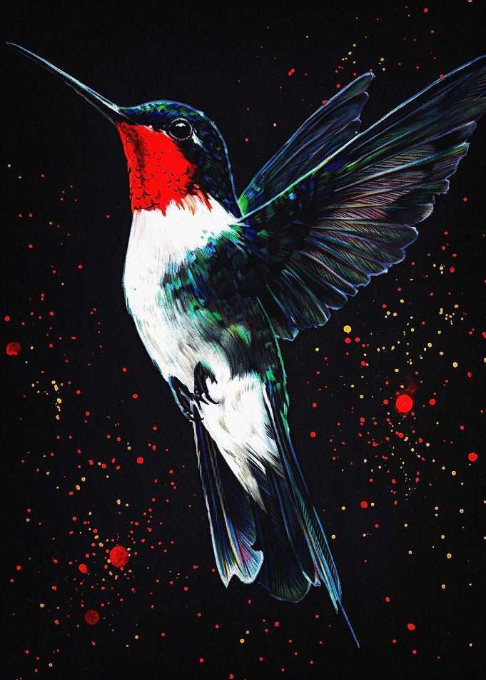 Hummingbird Bird Dark Art Poster