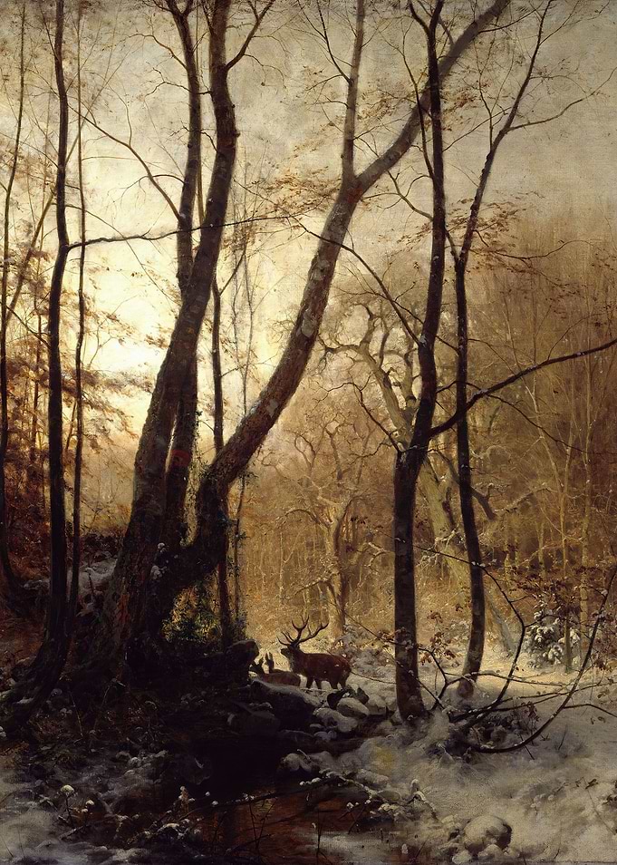 Stag in a Snowy Winter Forest