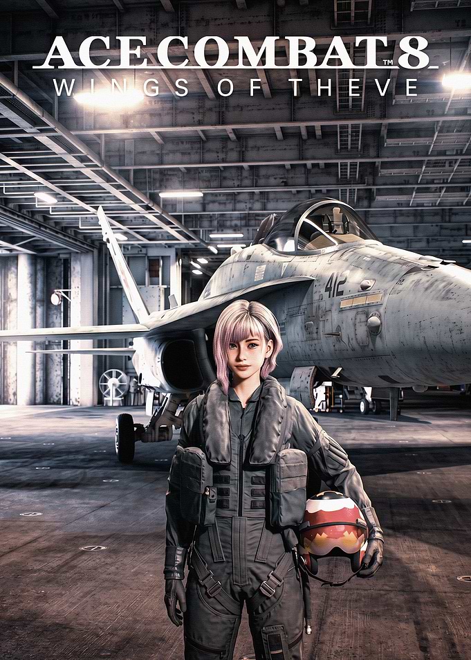 Ace Combat 8 Fighter Pilot Poster