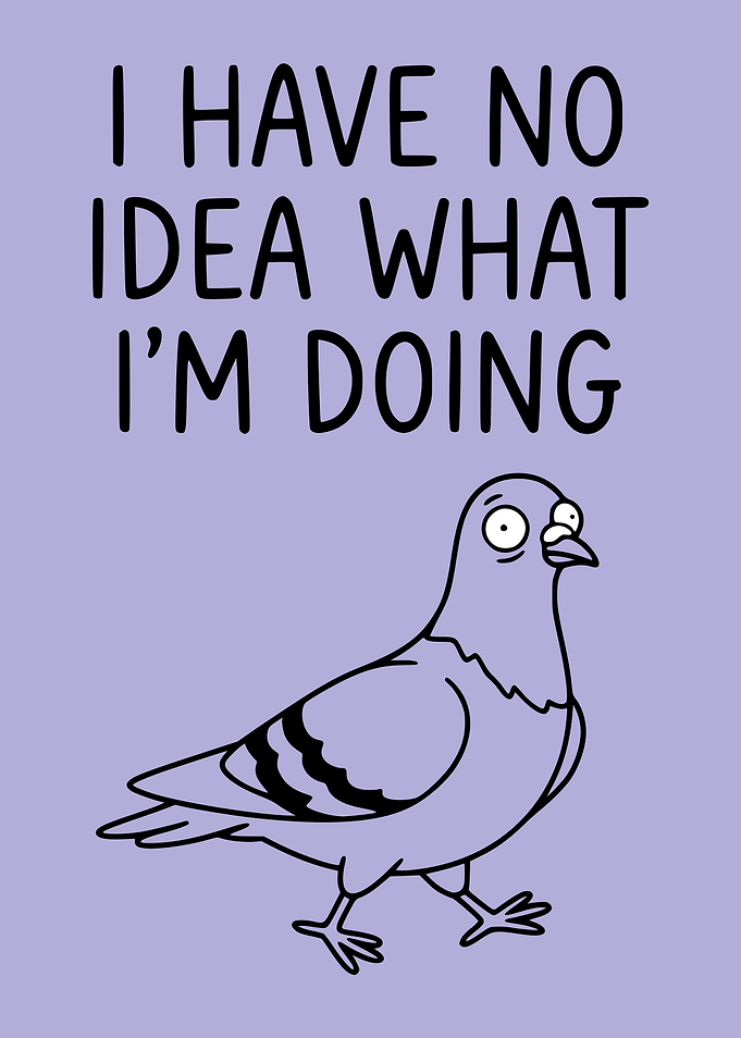 Funny Pigeon I Have No Idea