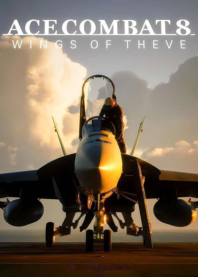Ace Combat 8 Fighter Jet Poster